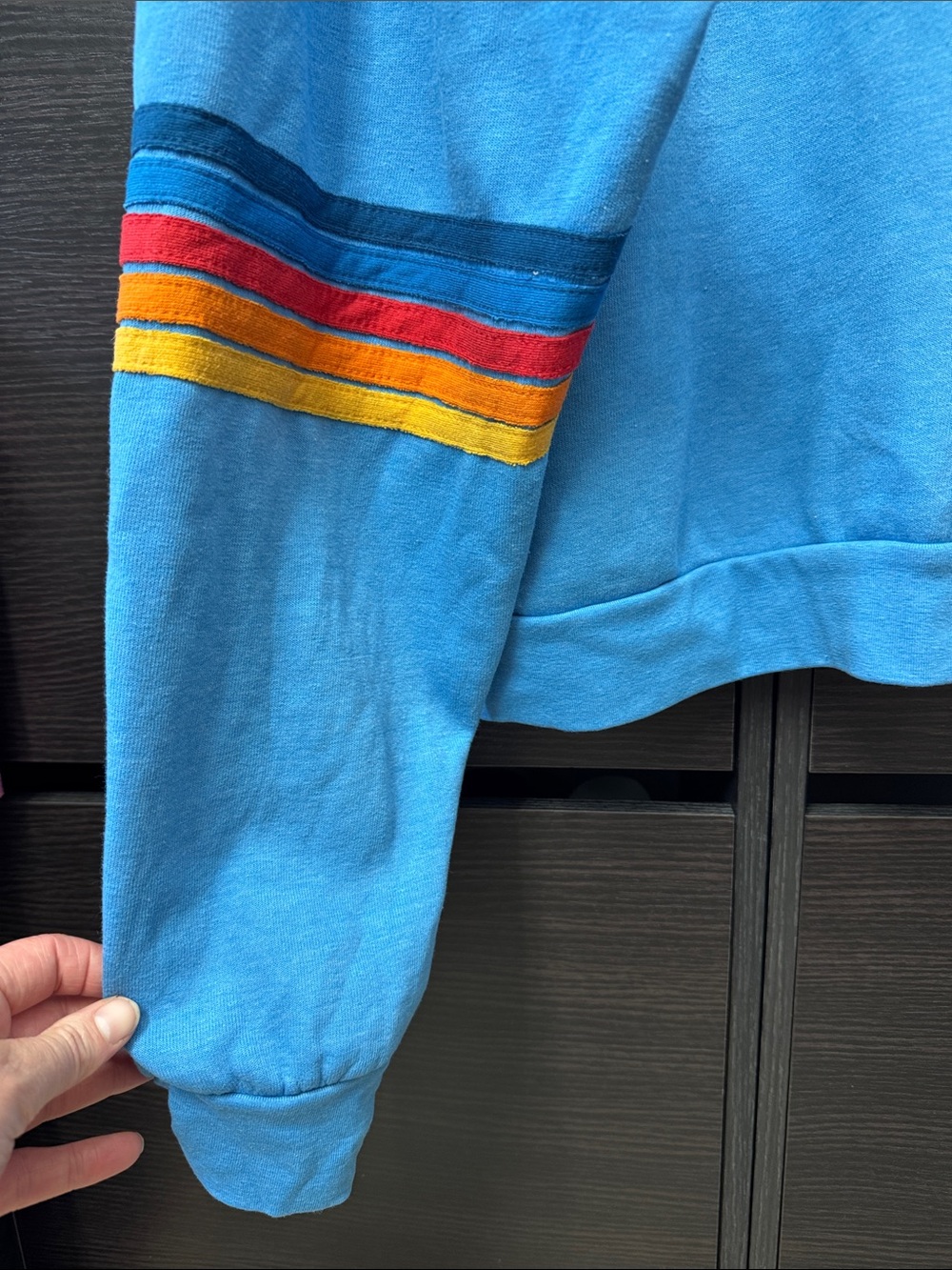 Aviator Nation Rainbow Stitch Sleeve Crew Relaxed Sweatshirt - Picture 8 of 11